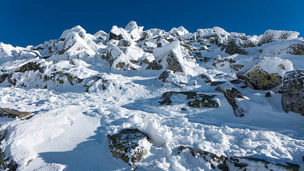 istock Hill Chopok in Low Tatras, Slovakia 507517678