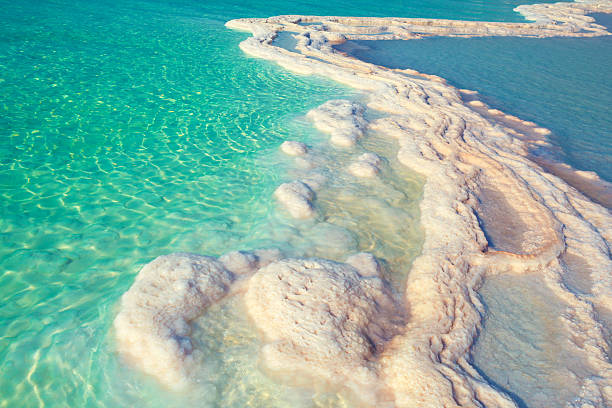 istock Texture of Dead sea. Salt sea shore 507526816