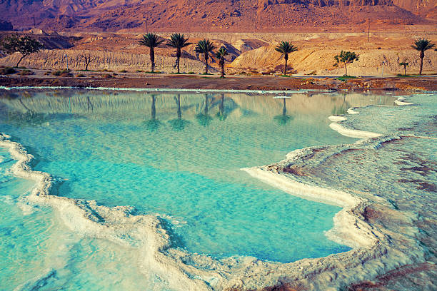 sal costa del mar muerto - dead sea fotografías e imágenes de stock