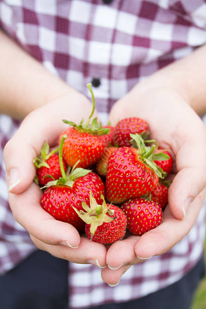 istock Handful Of Freshly Picked Strawberries 507528670