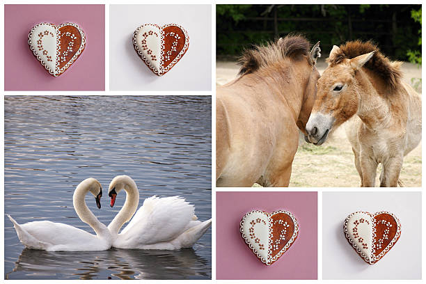 istock Love symbol pictures collages 507532712