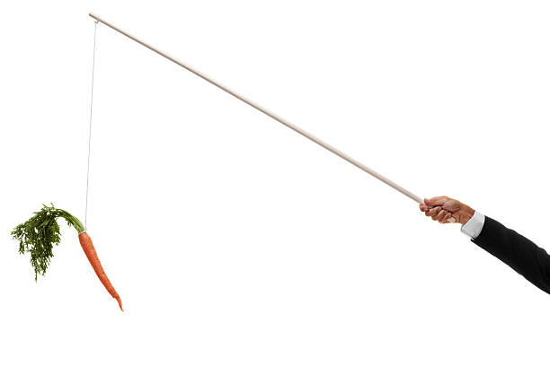 carotte accrocher sur l'extrémité en biais de la crosse - stick dangling a carrot carrot motivation photos et images de collection