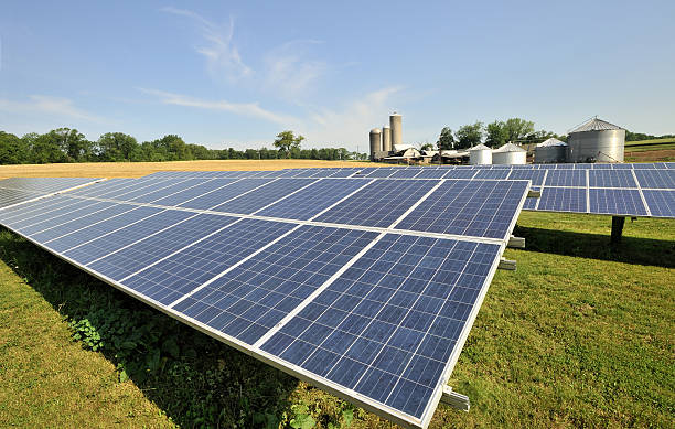 Modern, solar panel array in sun-filled, green farm pasture stock photo