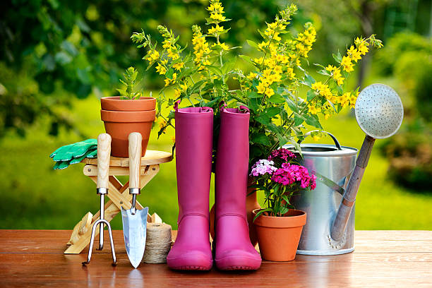istock Gardening tools on wooden table and green background 507544497