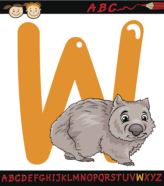 letter w for wombat cartoon illustration Cartoon Illustration of Capital Letter W from Alphabet with Wombat Animal for Children Education wombat stock illustrations