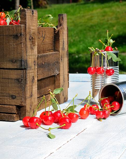 Cherries.