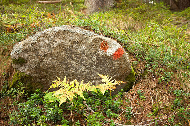 Path sign painted in a stone inside a woods, in a cloudy day.