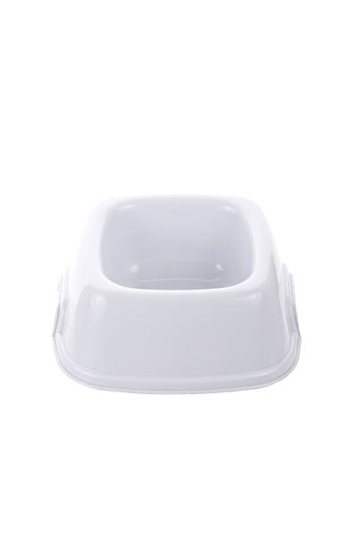 istock New bowl for dry food 507546615
