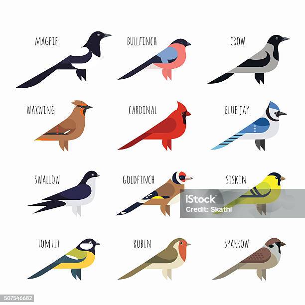 Vector Set Of Colorful Bird Icons Cardinal Magpie Sparrow Stock Illustration - Download Image Now