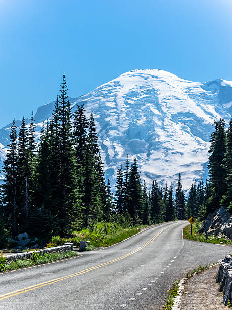 istock winding road to MT.Rainier 507548924