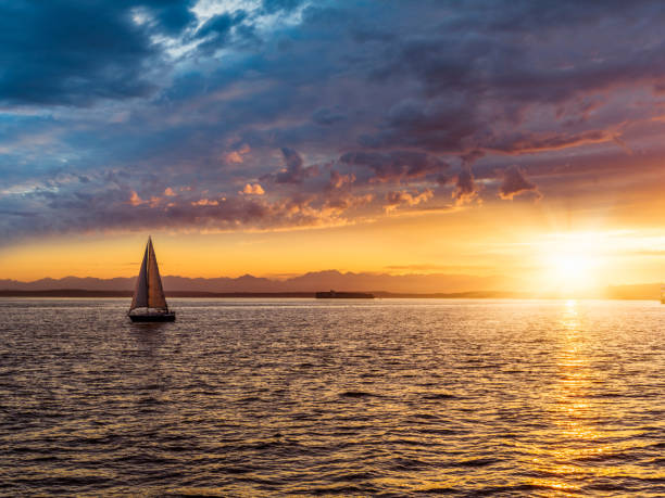 bateau à voile sur elliott bay - sailboat sunset sailing nautical vessel photos et images de collection