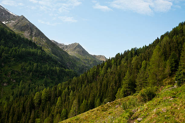 austriackich alpach krajobraz - lake mountain north tirol austria zdjęcia i obrazy z banku zdjęć