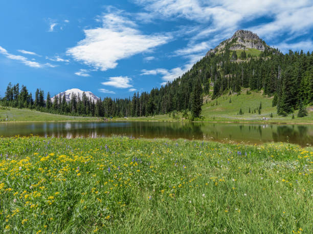 istock Tipsoo Lake of MT.Rainier 507549810