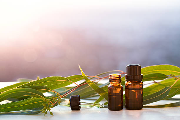 eukaliptus aromaterapia olejków eterycznych w butelkach - merchandise luxury still life spa treatment zdjęcia i obrazy z banku zdjęć