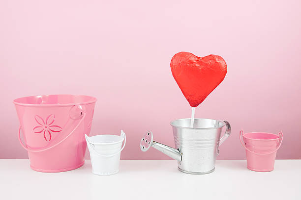 istock Red foiled chocolate heart stick with small silver watering can 507569264