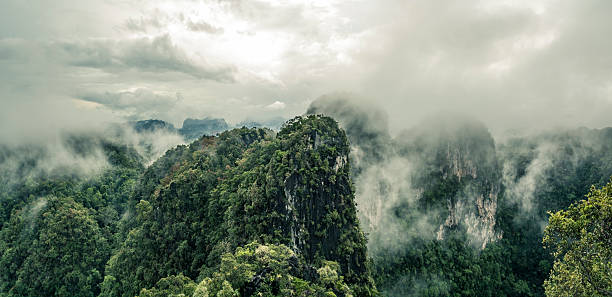 Mountainous Rain Forest Landscape Near Krabi In Thailand Low Clouds Over A Karst Landscape Forest karst formation photos stock pictures, royalty-free photos & images