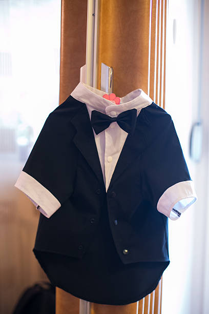 istock Dog clothing, tuxedo with a bow tie 507570130
