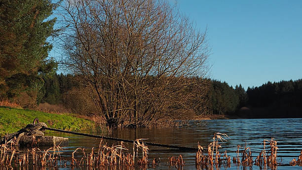 istock View across reservoir 507574482