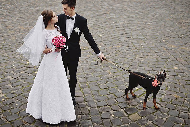 istock Bride and groom wedding with dog 507575410