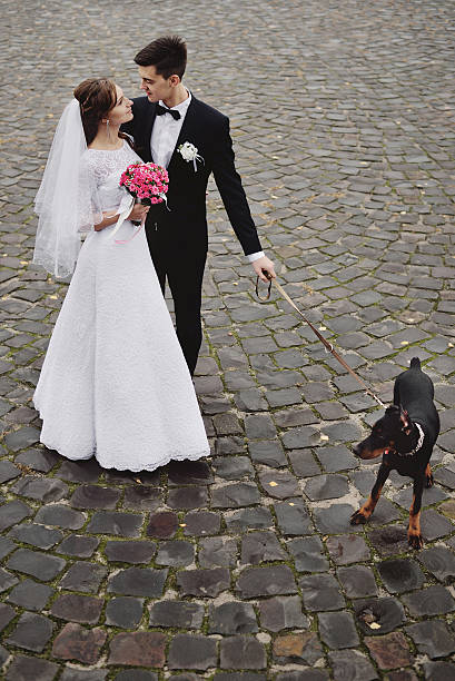 istock Bride and groom wedding with dog 507575436