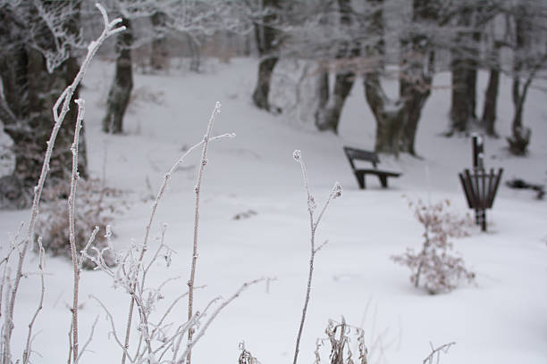 Winter landscape on mountain covered with snow.