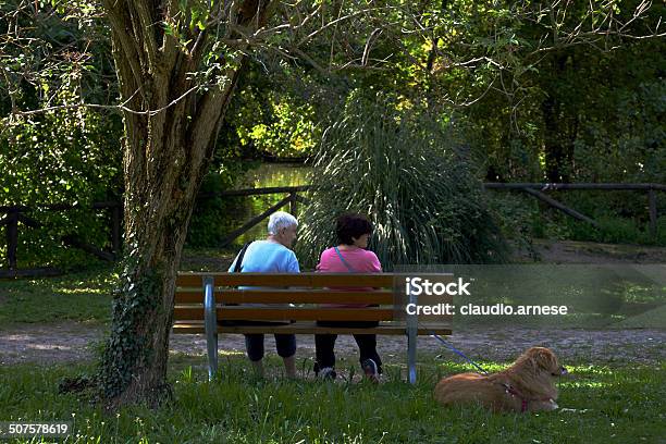 Vista Posteriore Di Persone Immagine A Colori - Fotografie stock e altre immagini di Adulto - Adulto, Agosto, Ambientazione esterna