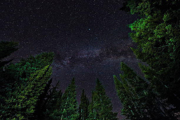 istock Milky Way Galaxy Sky and Silhouetted Trees 507578639