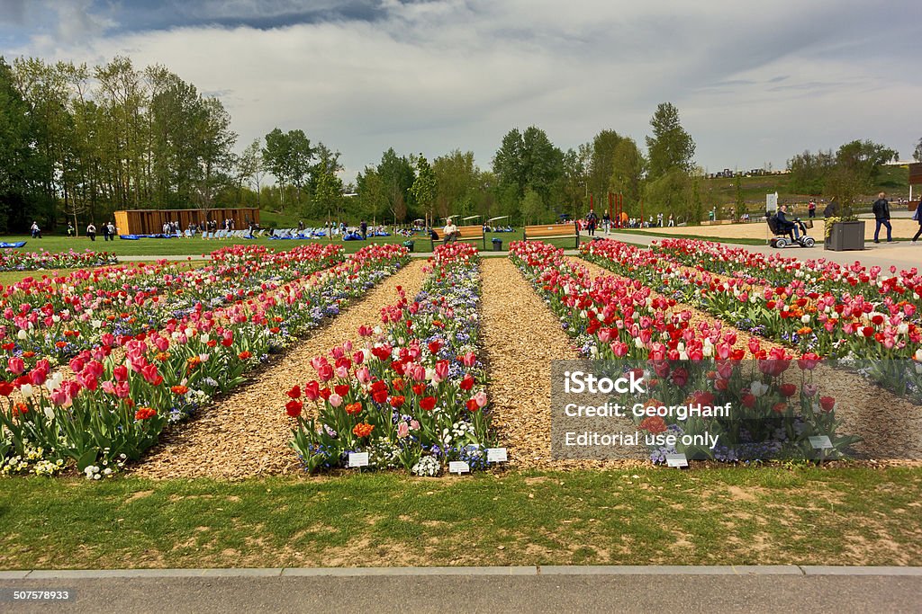 Great garden Zuelpich, Germany - April 21, 2014: People and Flower in a great Park. The flower beds are terraced and walk with sidewalks on each terrace that many people. In the flower beds, the tulips are blooming on. On the photo, many people are seeing the look at the flowers. Blossom Stock Photo