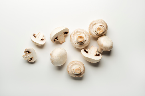Fresh mushrooms champignons isolated on a white background.