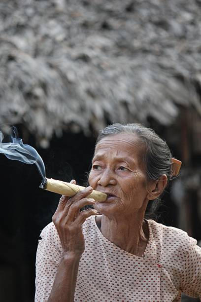 old asiático mulher fumar um charuto - handroll imagens e fotografias de stock