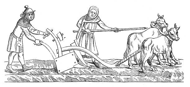 Laborers and shape plows in medieval England (antique engraving) 19th century illustration of laborers and shape plows in England in 14th century. Original artwork published in Le magasin Pittoresque by M. A. Lachevardiere, Paris, 1846. circa 14th century stock illustrations