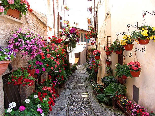 istock Windows, balcony and flower alleys in Spello - Perugia 507580503
