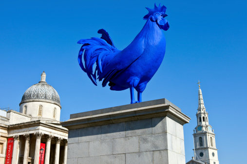 London, UK - March 9, 2014: The Blue Cockerel on the fourth plinth in Trafalgar Square in London on 9th March 2014.  The National Gallery and the spire of St Martin in the Fields church can be seen in the distance.
