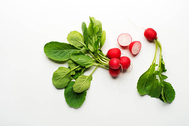 radishes - radish bunch red vegetable photos et images de collection