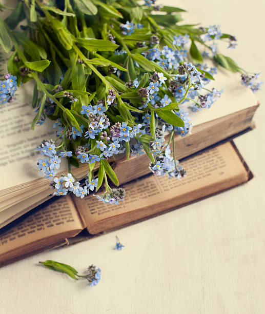 istock Vintage books and  summer blue flowers. 507581161
