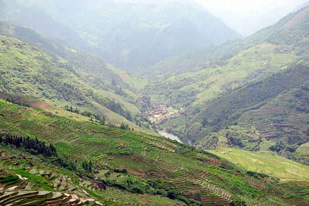 Longsheng Rice Terrace, Guilin, Guangxi, China stock photo