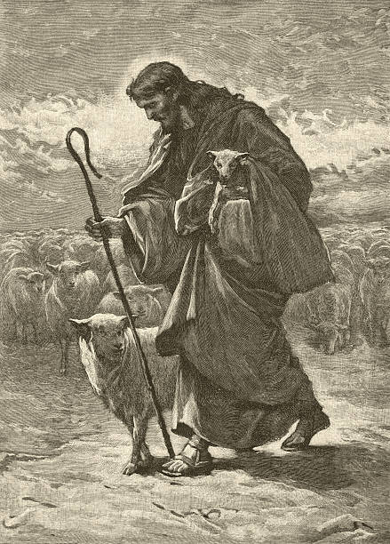 хорошая овчарка - shepherds staff stock illustrations