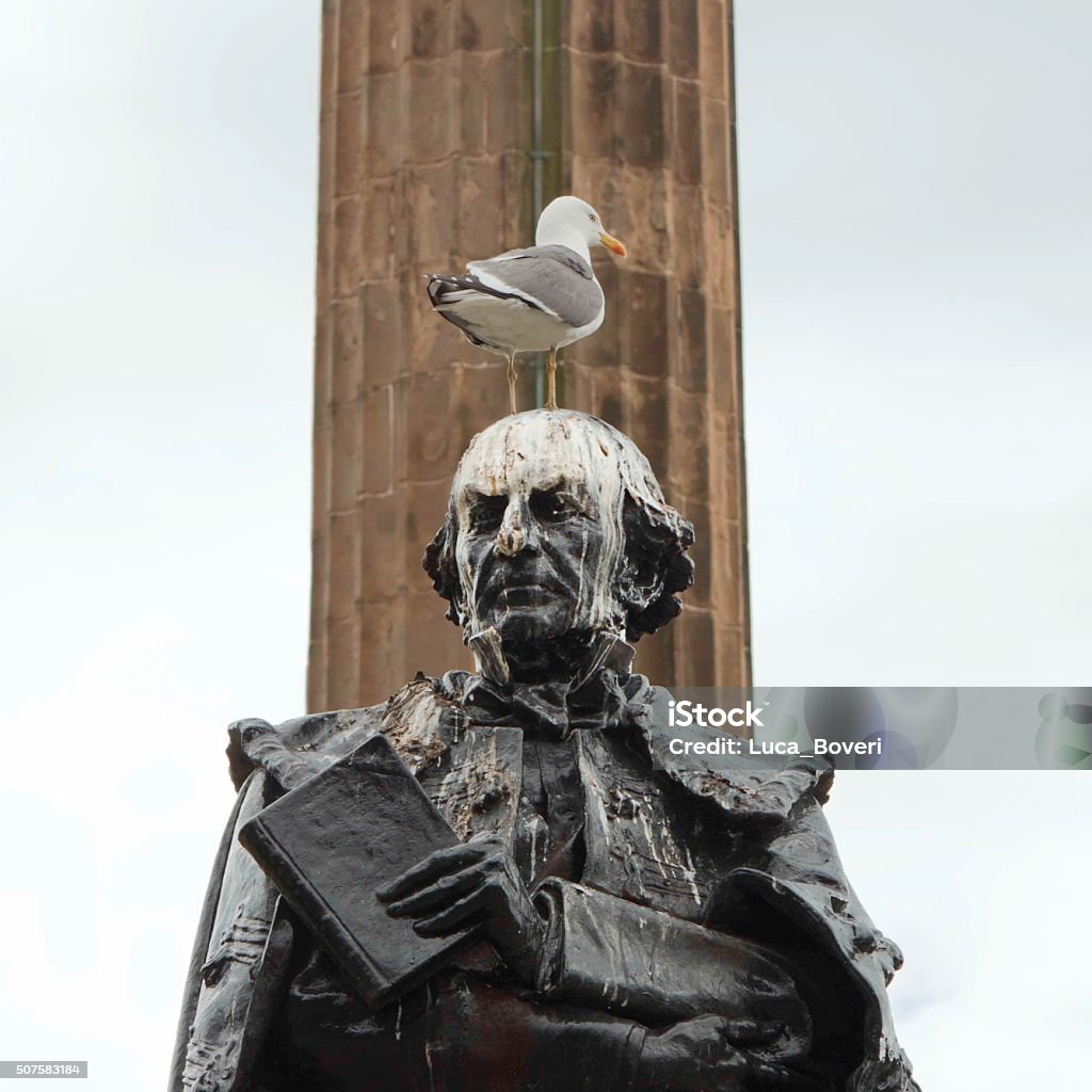 Life sucks A bird on the top of the head of the statue of a politician. The head covered with animal dung. A statue of William Galdstone in Glasgow, politician  and ex- prime minister. Sometimes life it is not easy for politicians and sometimes also after that they have to face some problems. A bird on the top of the head of the statue of a politician  Bird Dropping Stock Photo