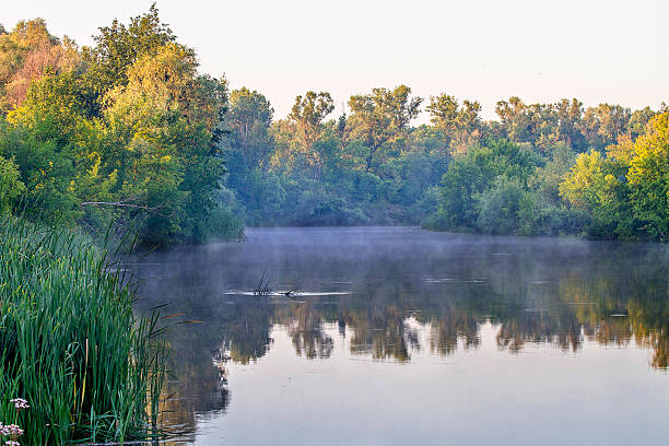 istock landscape river water surface with reflection shores 507583853