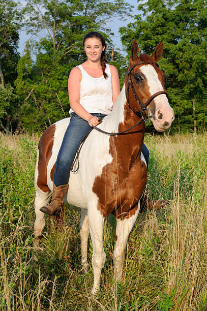 девушка езда лошадь bareback в лето поле - bareback стоковые фото и изображения