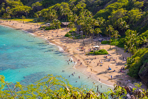 bahía de hanauma playa de oahu, hawai - hanauma bay fotografías e imágenes de stock