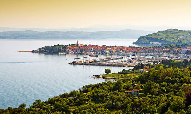 istock coast town Izola 507617495