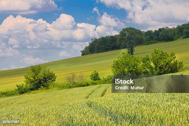 Summer Landscape Stock Photo - Download Image Now - Iowa, Rural Scene, Agricultural Field