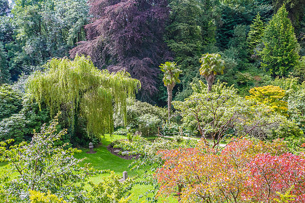 multicolored jardim japonês - japanese culture landscape landscaped ornamental garden imagens e fotografias de stock