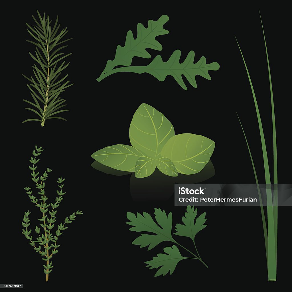 Culinario hierbas negro - arte vectorial de Cebolleta libre de derechos