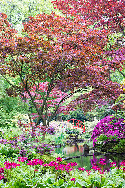 istock Japanese Garden 507619127