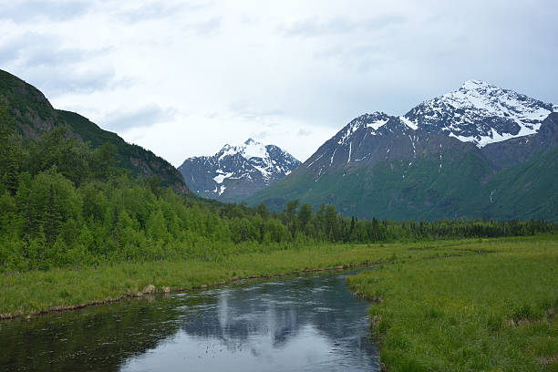 istock Eagle River Nature Center in Alaska 507619397