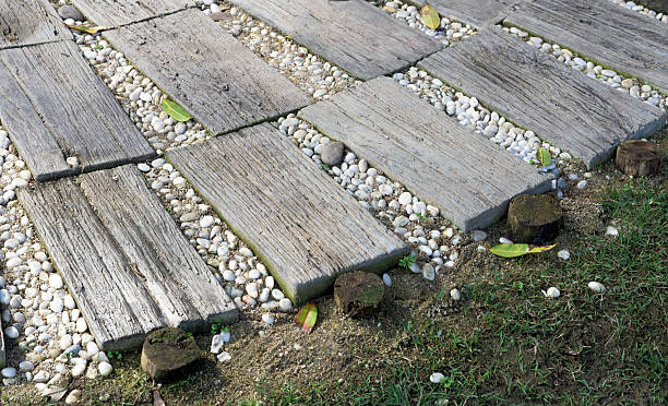 istock walkway the garden for decorate 507619421
