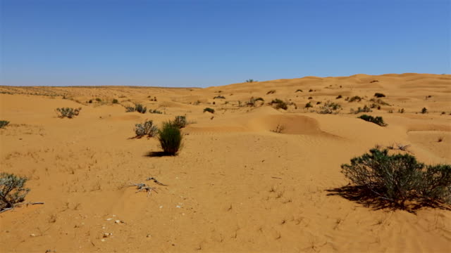 Sahara Desert nearby the Grand Erg Oriental , Tunisia