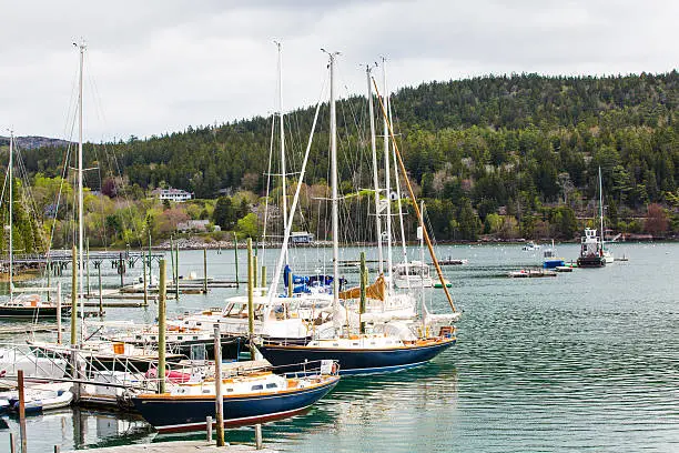 Photo of Acadia National Park. Maine.